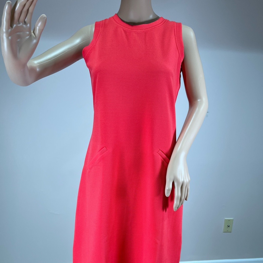 AND dress in size 12.